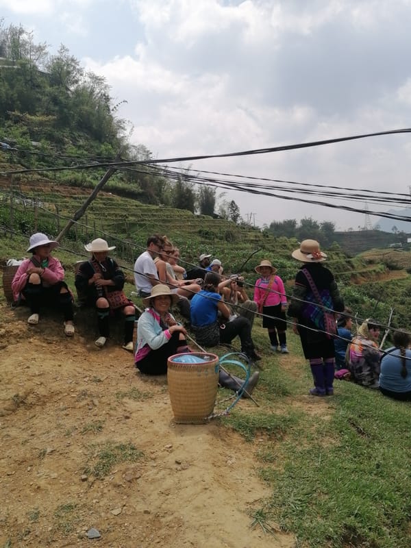Tourists explore Sa Pa terraced fields amid overcast morning