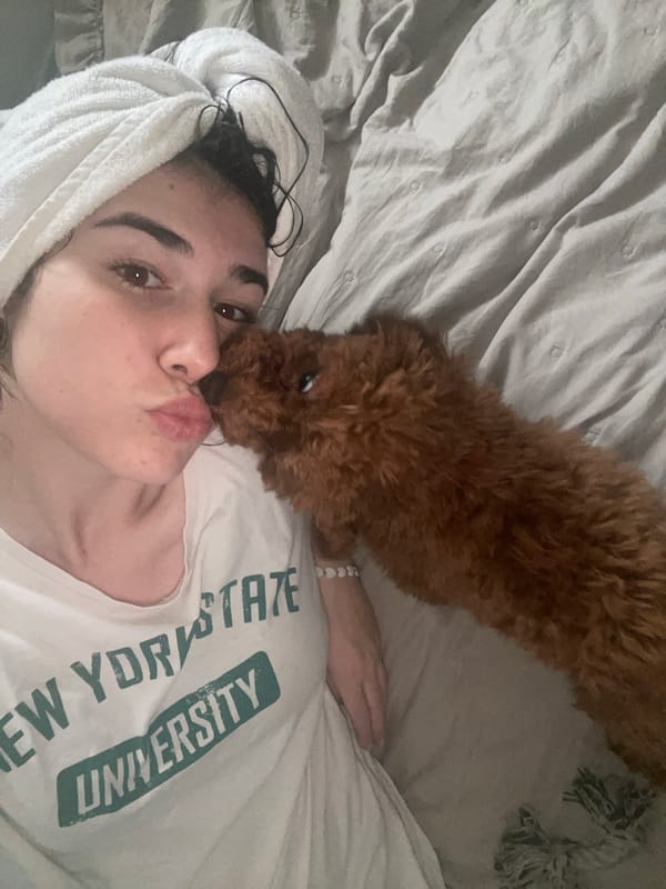 Woman photographed during hair-drying routine in Sofia apartment