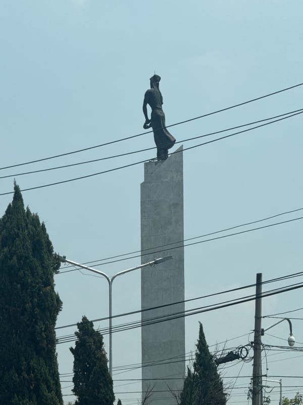 Tourist takes selfies in car during Puebla visit