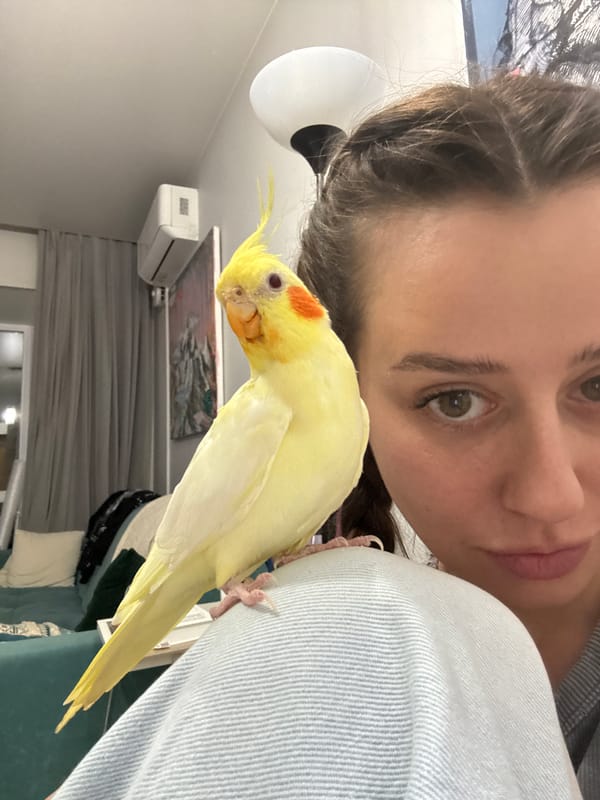 Woman poses with yellow cockatiel indoors in Krasnoyarsk
