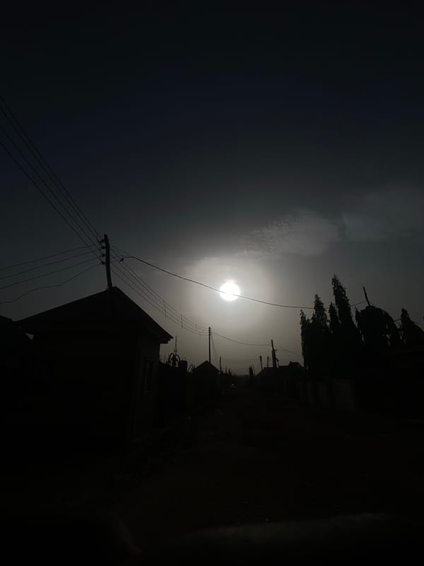 Sunrise or sunset creates dramatic silhouettes in Narayi, Nigeria