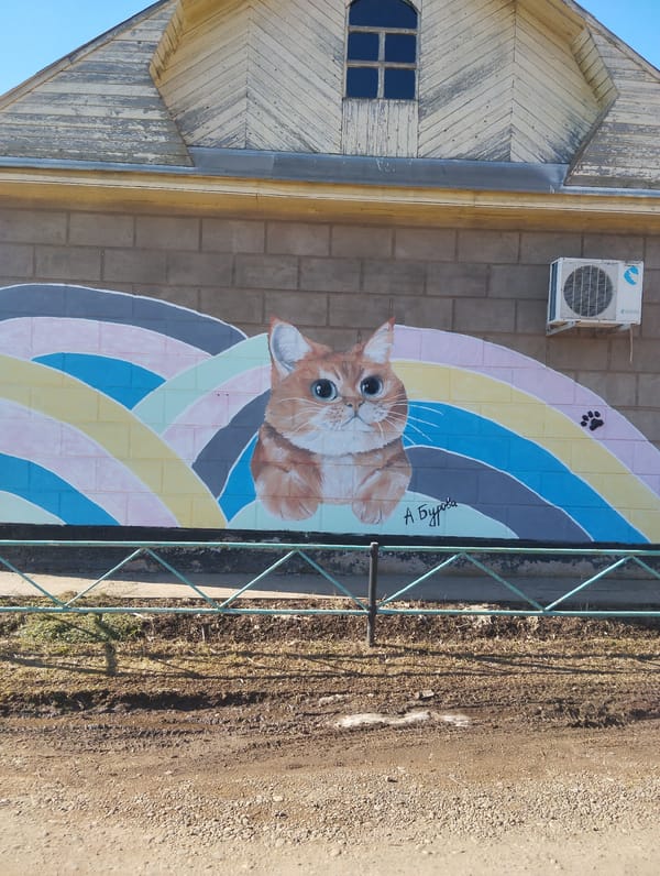 Morning documentation of street art and nature in Krasnogorskoye