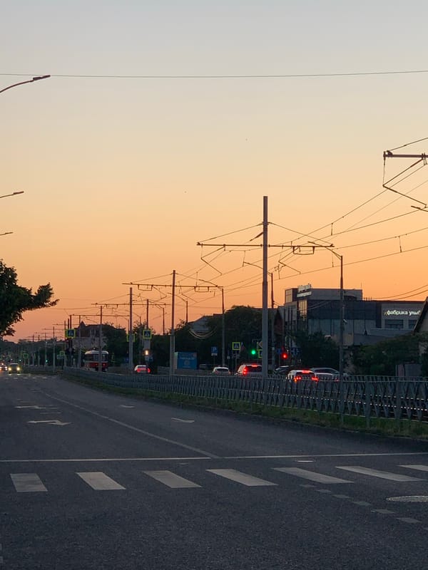 Flowers in bloom and tram streets at golden hour