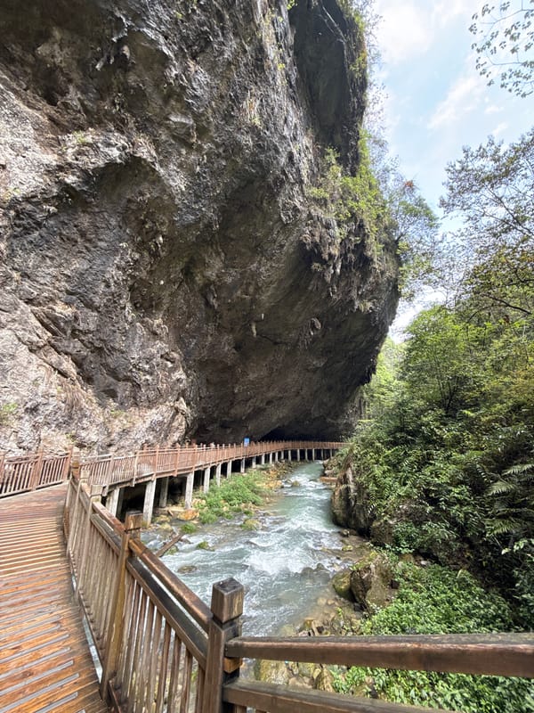 Scenic gorge with wooden walkway documented in Zhangjiajie