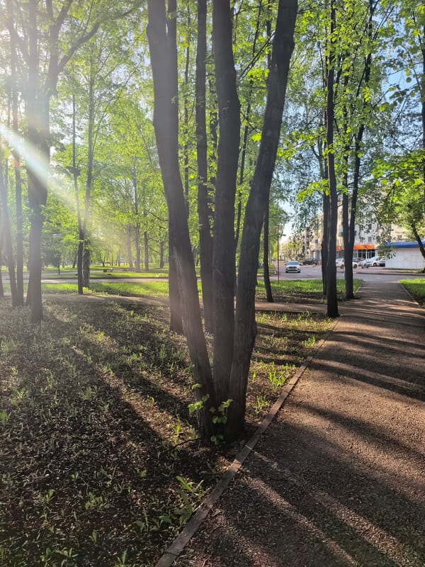 Sunlit park path captured in Sterlitamak, Russia