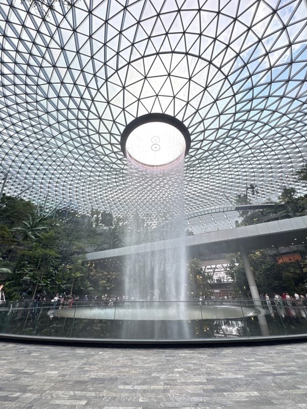 Morning documentation of Singapore's Rain Vortex and observation wheel
