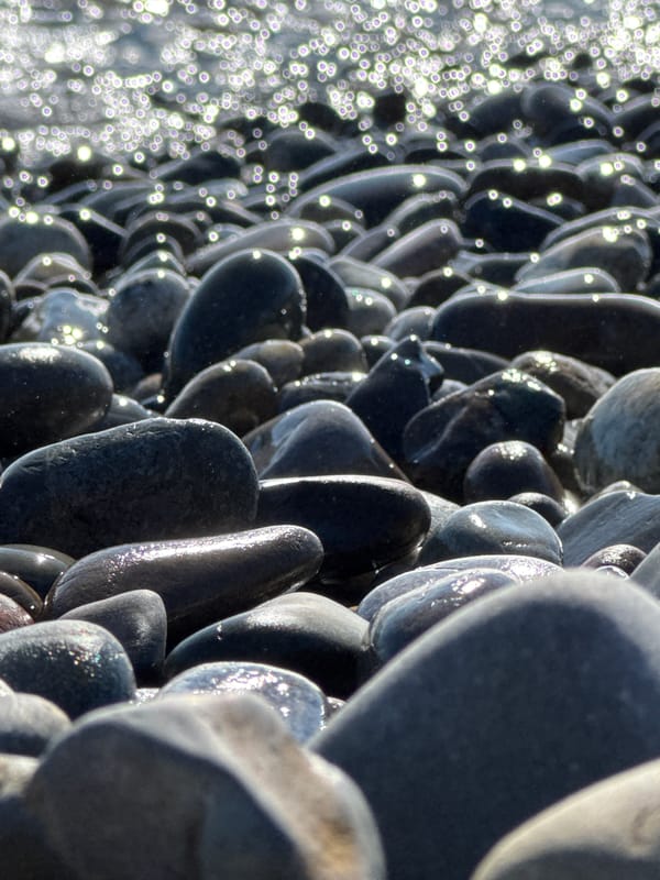 Sochi's pebble beach on a busy summer afternoon