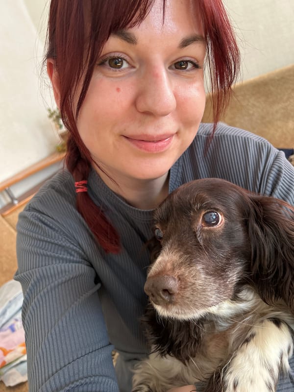 Woman poses with Spaniel dog in indoor photos