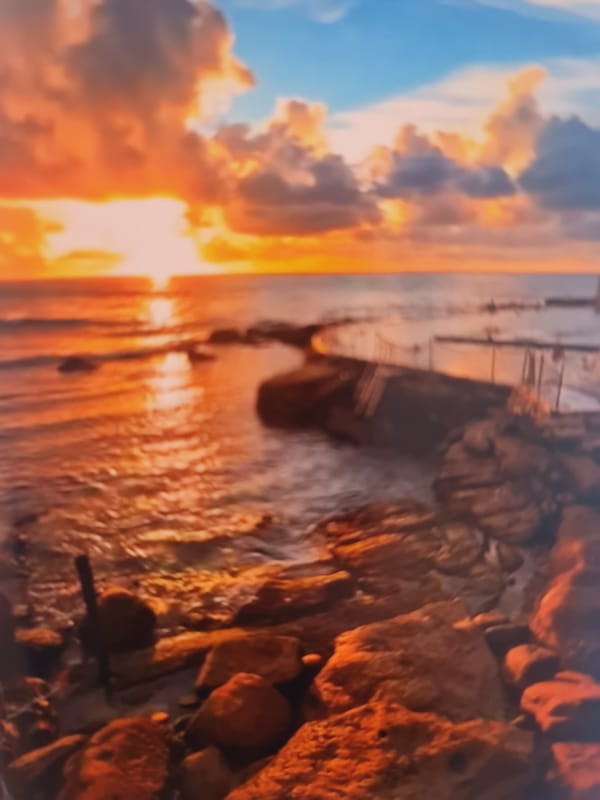 Sunset, a resting seal, and a colorful ball — unrelated snapshots