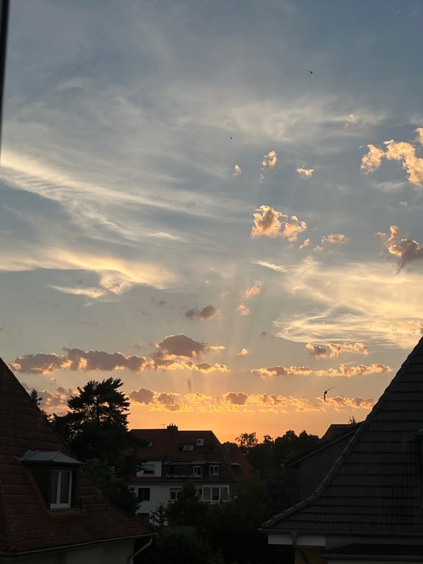 Golden sunset clouds over Saarbrücken rooftops, birds in flight