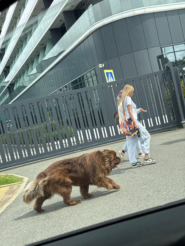 Casual street scenes captured in Sirius, Russia