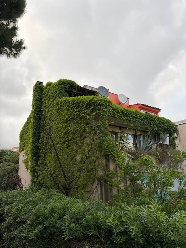 Spring nature scenes documented across Budva, Montenegro