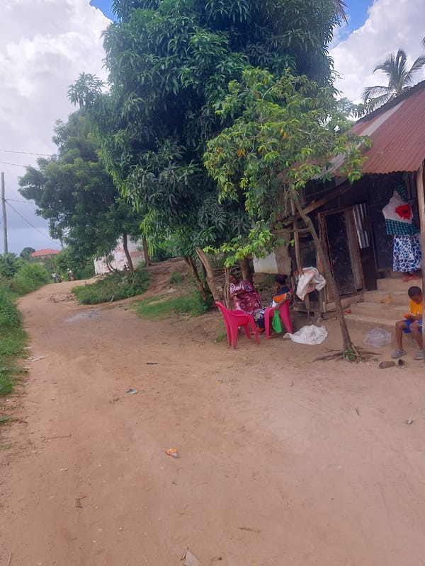 Everyday street scene documented in Dar es Salaam