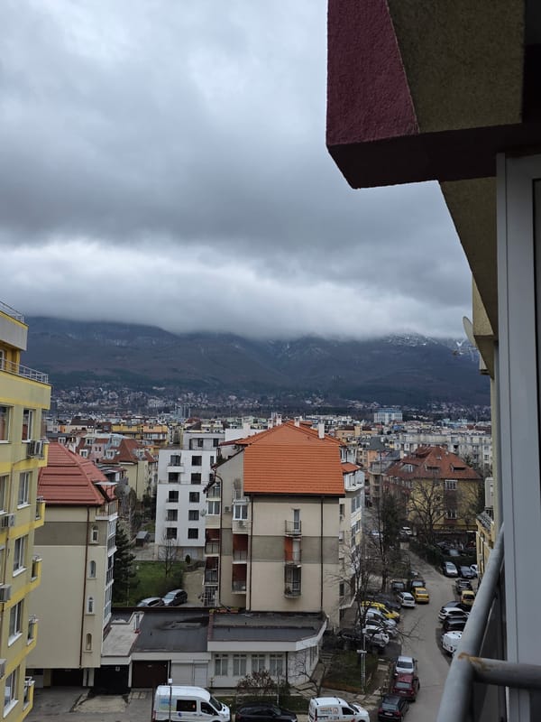 Sofia residents capture ordinary moments: cityscape, costumed pet, shopping delivery