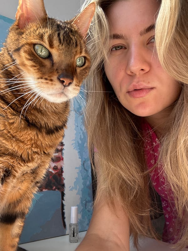 Bengal cat hangout and steel tongue drum session with a #SoundCheck contest