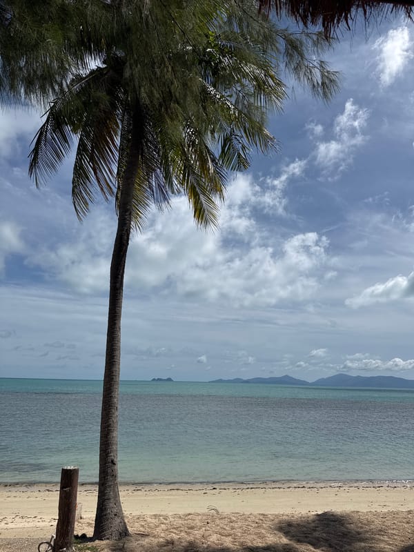 Lazy morning at a palm-lined beach hangout in Baan Tai