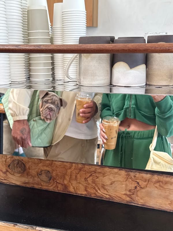 Person and dog spotted in LA cafe mirror reflection