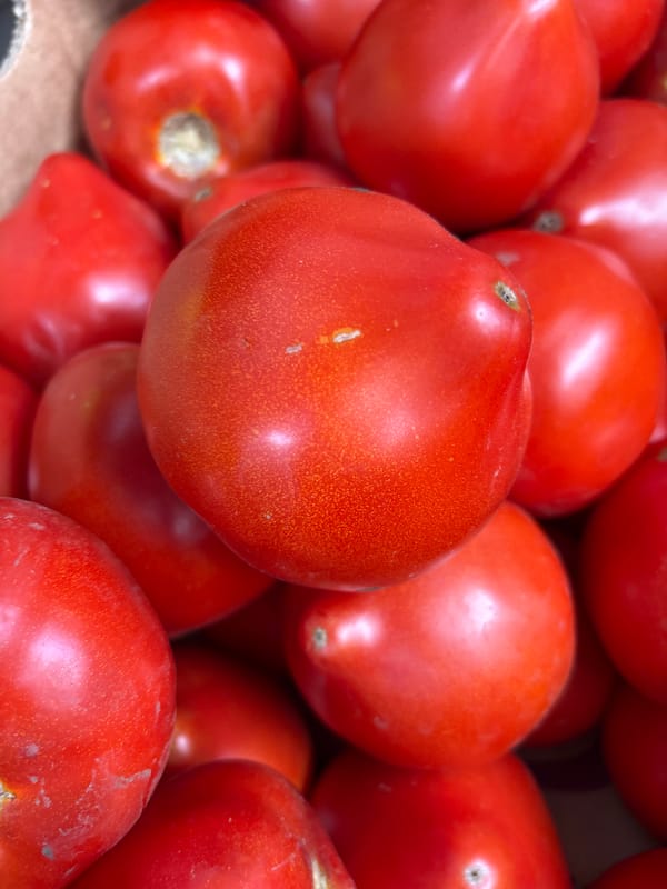 Late-summer produce on display at a Zvenigorod market