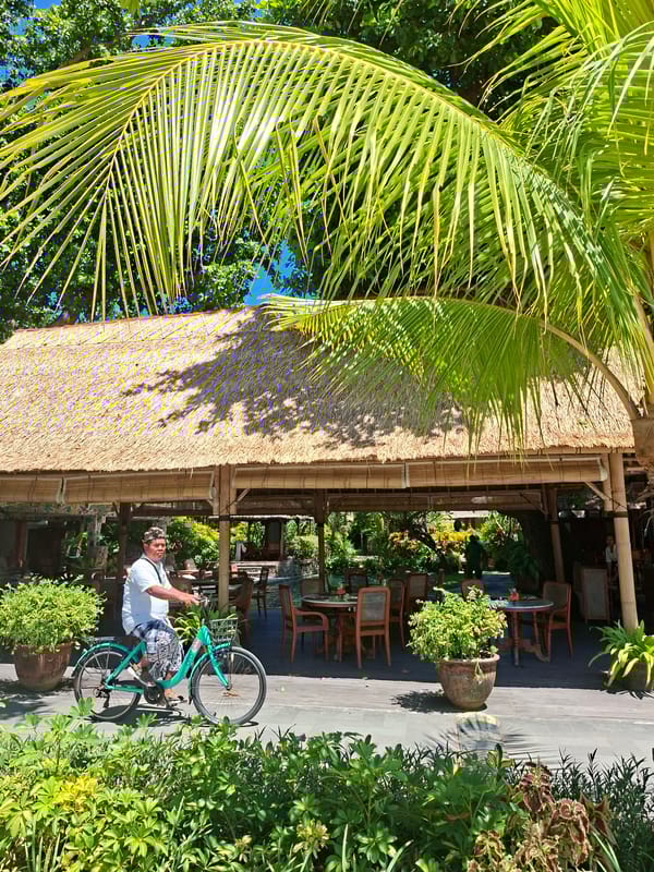 Tourist explores Denpasar's street art and beachfront scenes