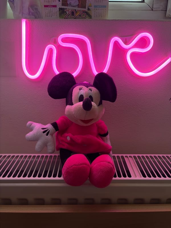 Sofia resident documents pink neon love sign display