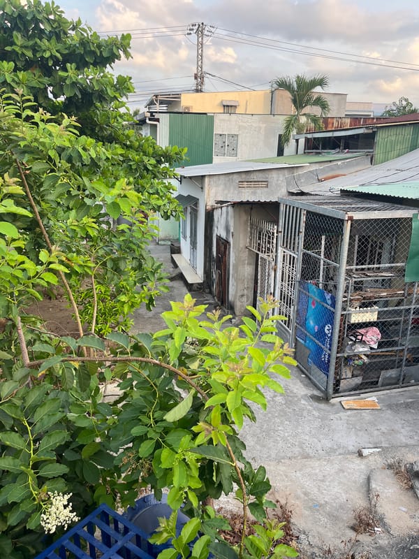 Evening documentation captures diverse Nha Trang Ward scenes