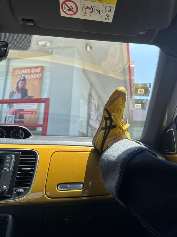 Casual afternoon moments documented across Puebla, Mexico