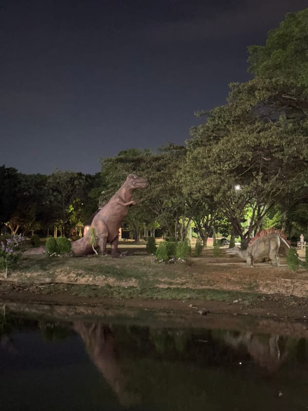 Nighttime scenes captured across Phuket: dinosaur model, palm tree, feeding cat