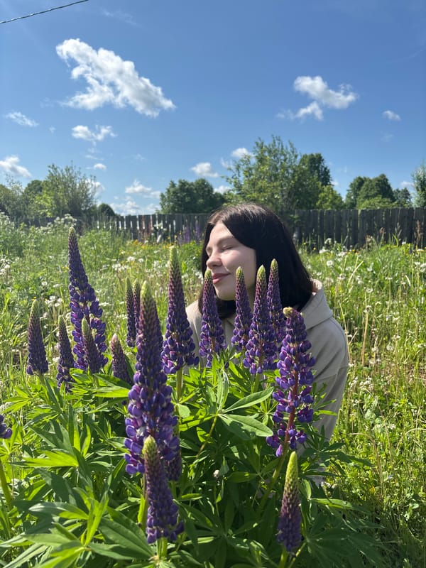 Morning scenes captured in Zasechnyi: woman among lupines, dog in yard