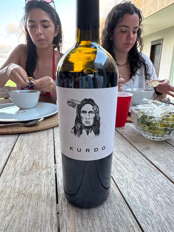 Young adults dine outdoors in Mata de Uva patio