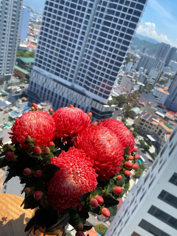 Hotel room flowers and a city view in Nha Trang
