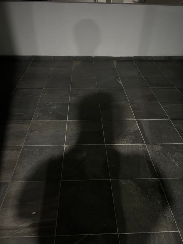 Evening observations captured in Cholula, Mexico during twilight hours