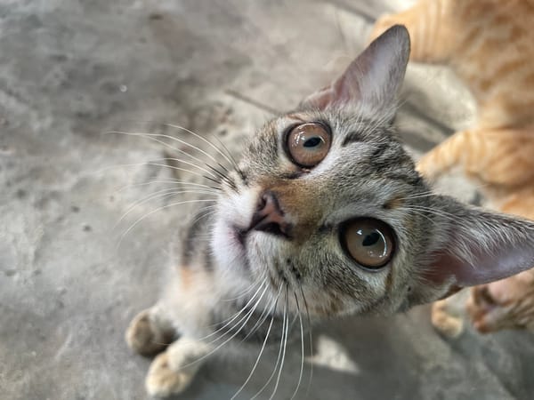 Street scenes and everyday life in Phu Thuy Ward, Vietnam