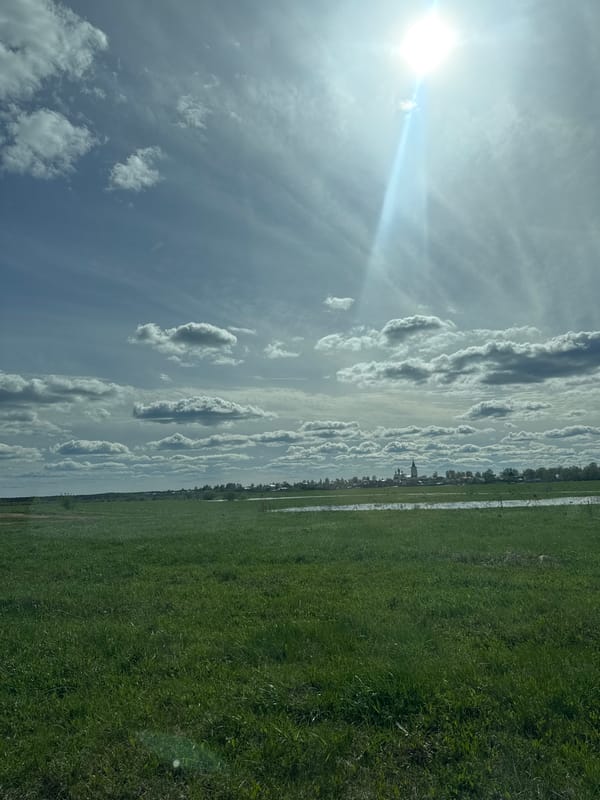 Spring landscape documented in rural Russia