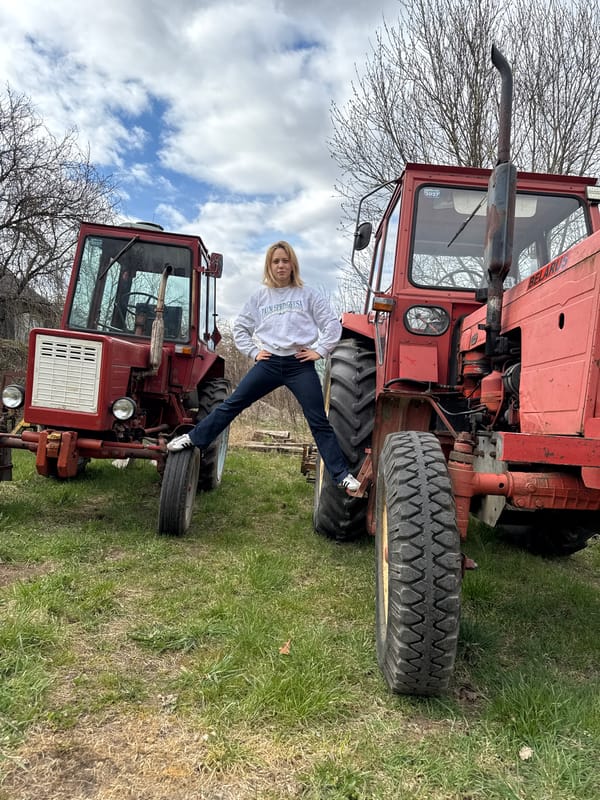Rural Latvia scene: tractors, dog, bumblebee captured May 1