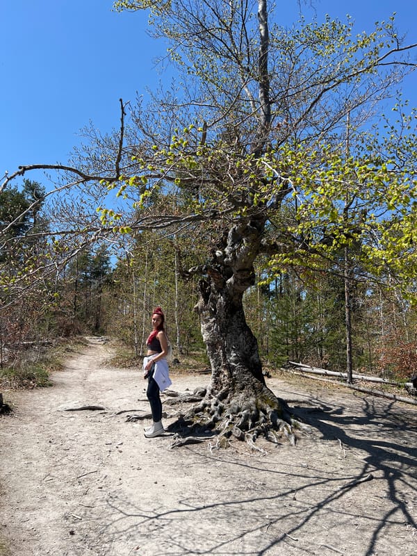 Woman poses beside ancient tree in Vrata, Bulgaria
