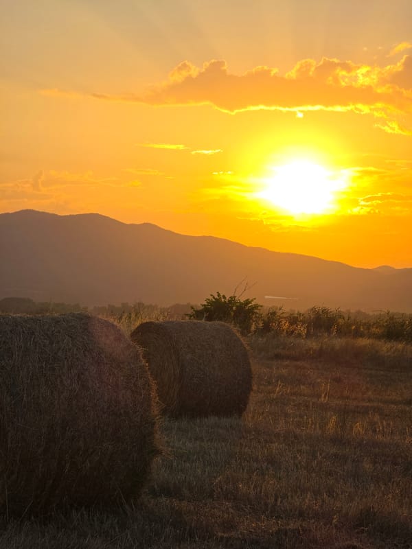 Golden hay bales in a Bulgarian field at sunset