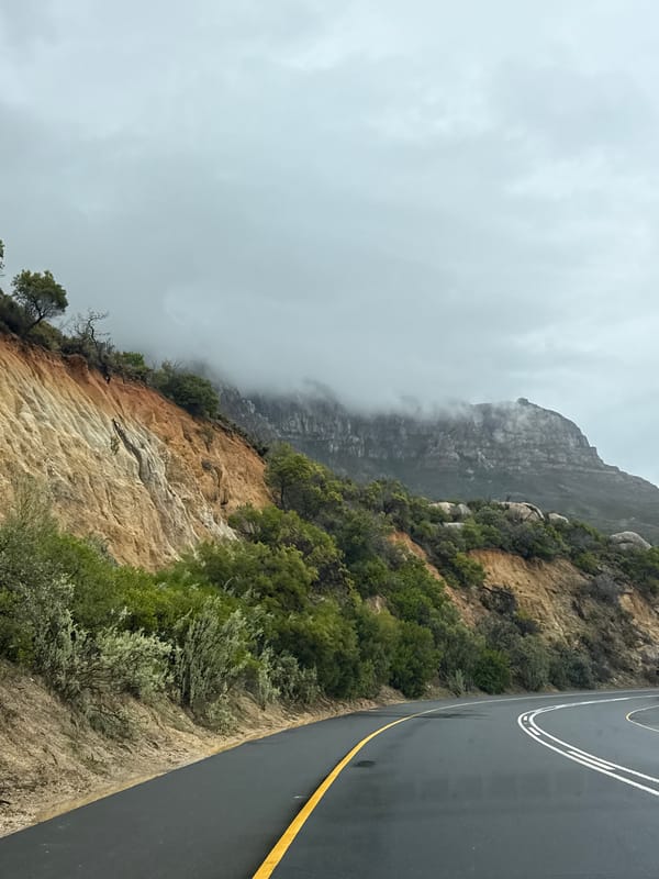 Cape Town roadside landscape documented near Table Mountain