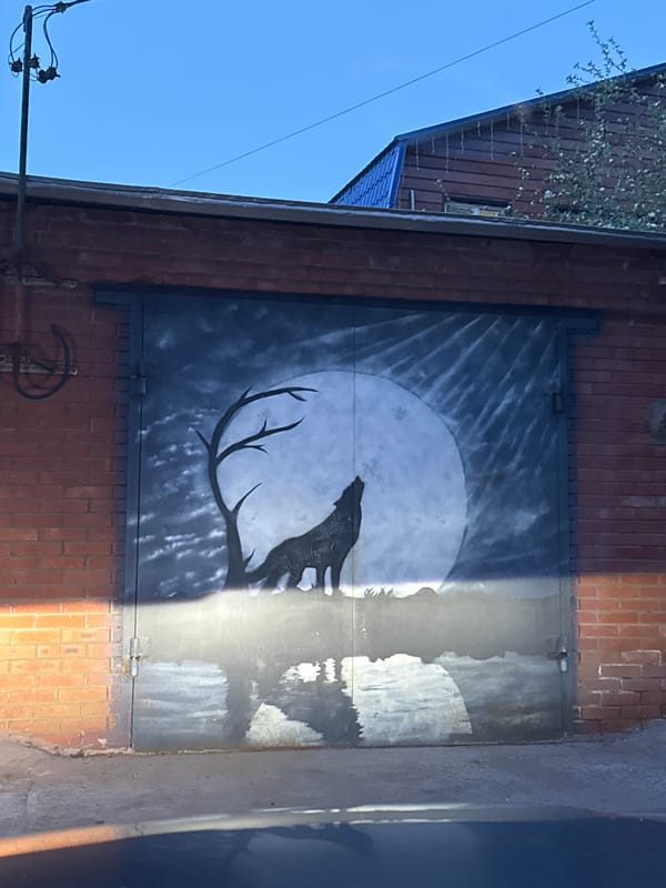 Wolf moon mural spotted on building door in Votkinsk