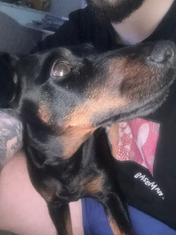 Person poses with Doberman at Burgas cafe