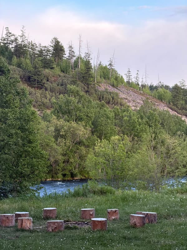 Glamping site and wedding arch setup along a river in Esso