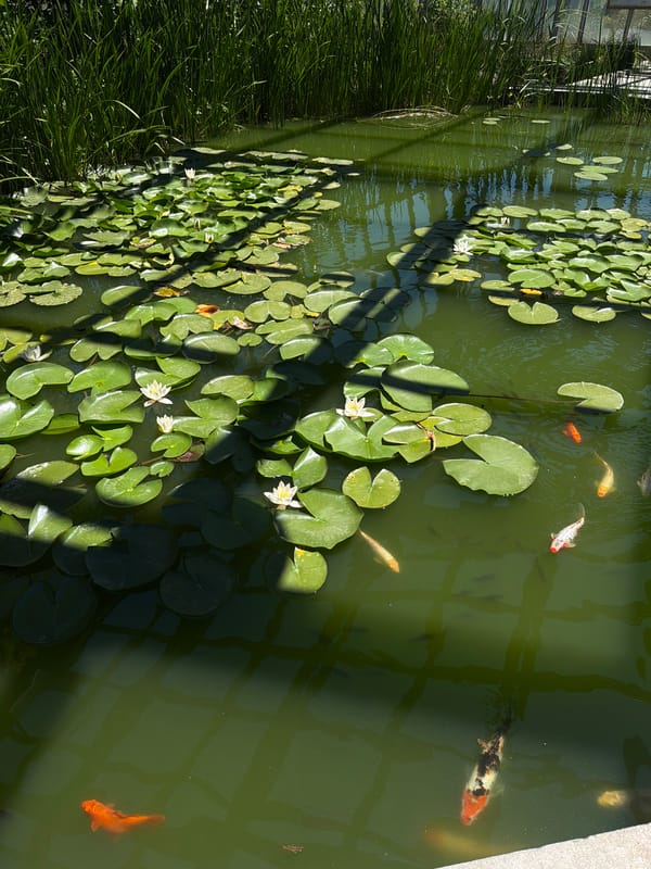 Inside Yerevan's botanical garden: koi ponds, dioramas, and greenhouse