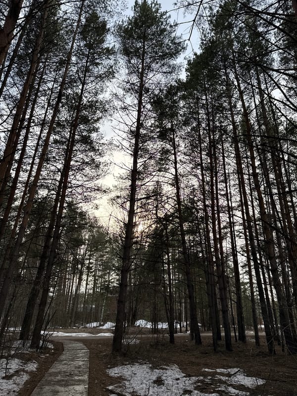 Frozen waterways and winter scenes documented across urban area