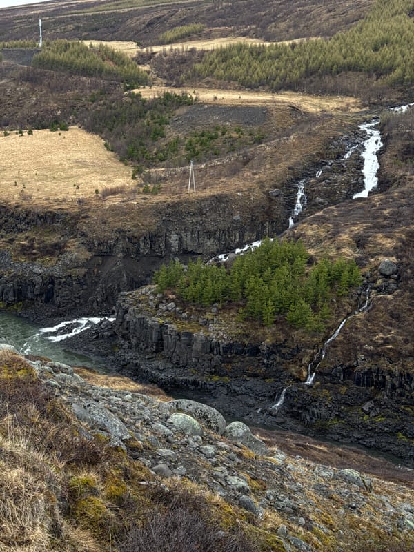 Witness captures dramatic Icelandic canyon waterfalls and volcanic terrain