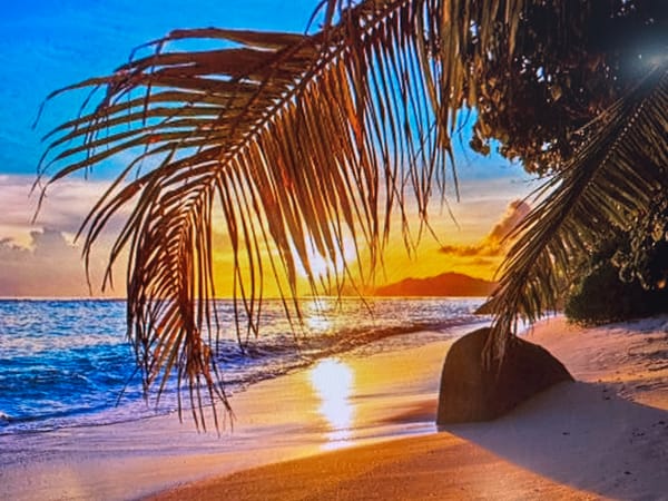 Tropical beach photos, mismatched metadata, and one random fan