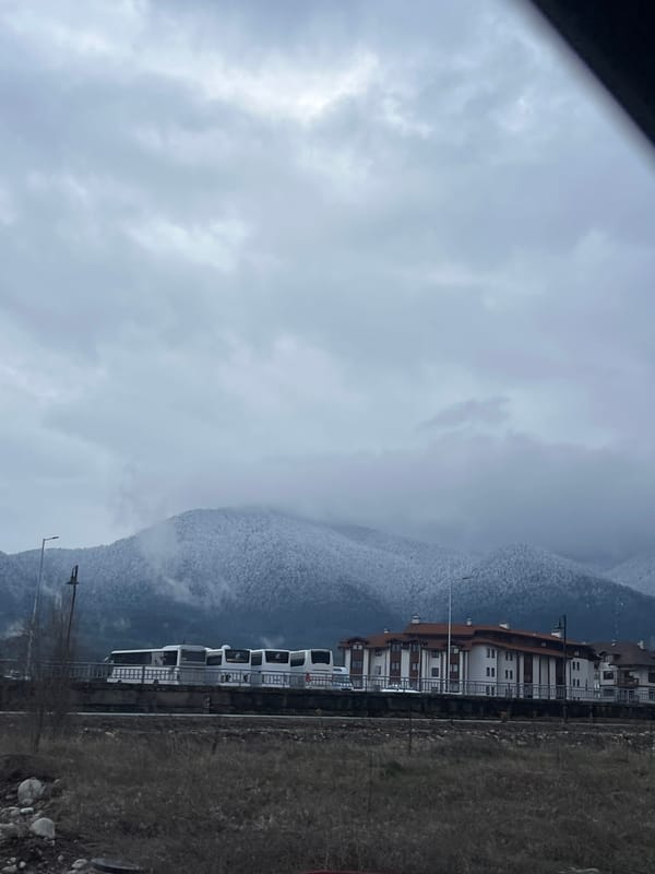 Winter scenes documented in Bansko, Bulgaria under overcast skies