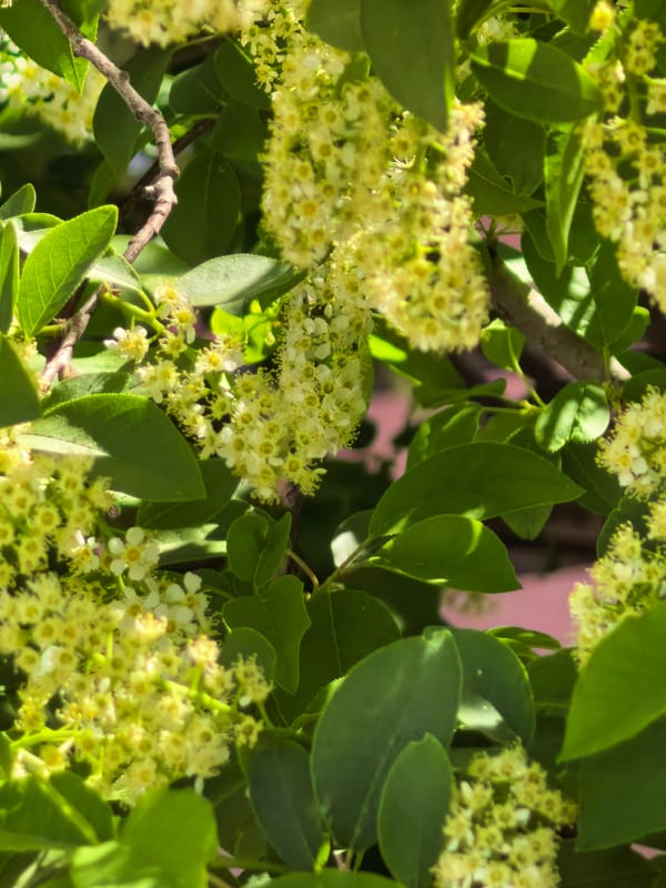 Spring morning documented in residential Sterlitamak, Russia
