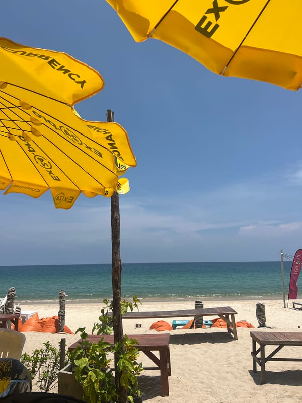 Early morning beach scene observed from elevated beachside position
