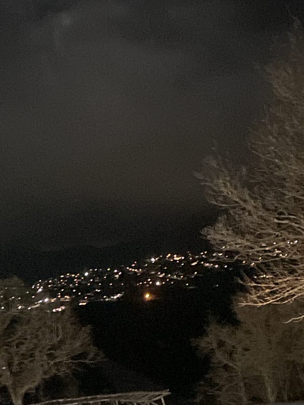 Nighttime scene with illuminated trees captured in Bulgarian village