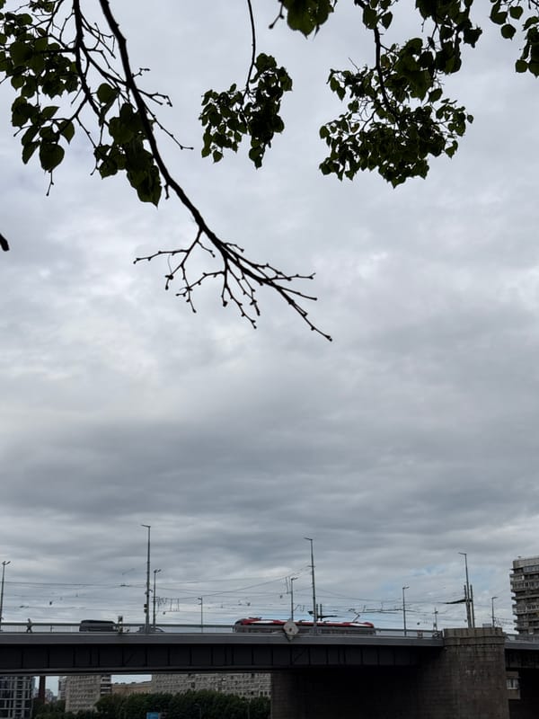 Overcast morning captures everyday life along Saint Petersburg's Neva River