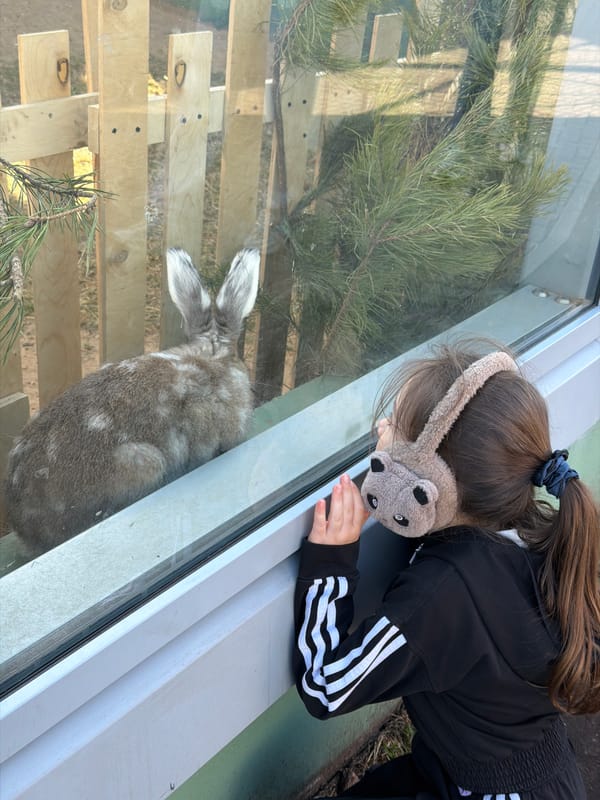 Families visit animal exhibits at Perm Zoo during afternoon outing